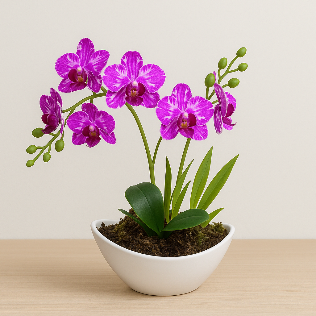 Arranjo Barca de Orquídea Artificial - Home Cozy