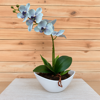 Arranjo Barca de Orquídea Artificial - Home Cozy